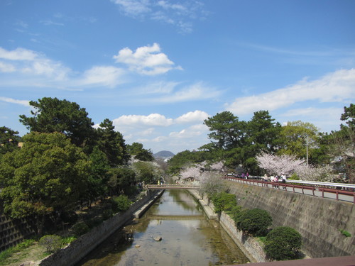 a0251786_20483636.jpg