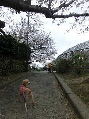 e0222588_16270924.jpg