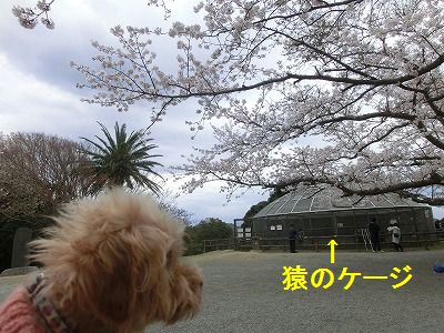 e0222588_16271960.jpg