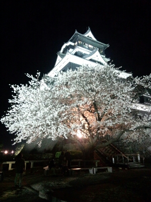 f0292289_1156937.jpg