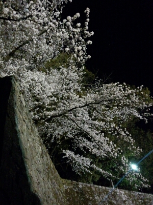 f0292289_11572859.jpg