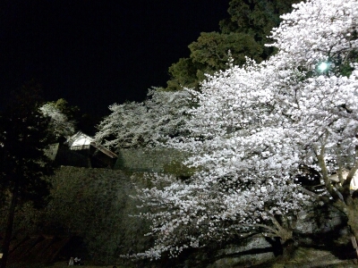 f0292289_11574788.jpg