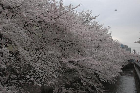 c0123890_20372778.jpg