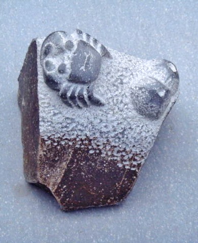 d0212491_012461.jpg