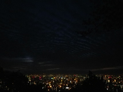 e0048994_936404.jpg