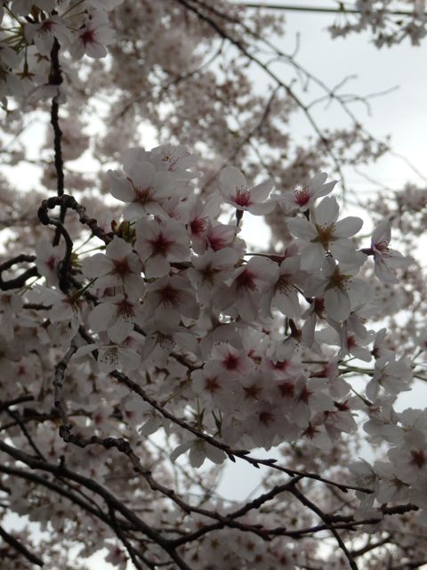 f0130894_21433781.jpg