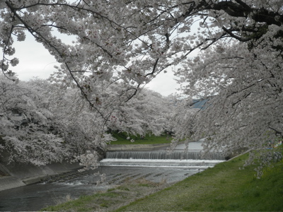 c0149195_23424480.jpg