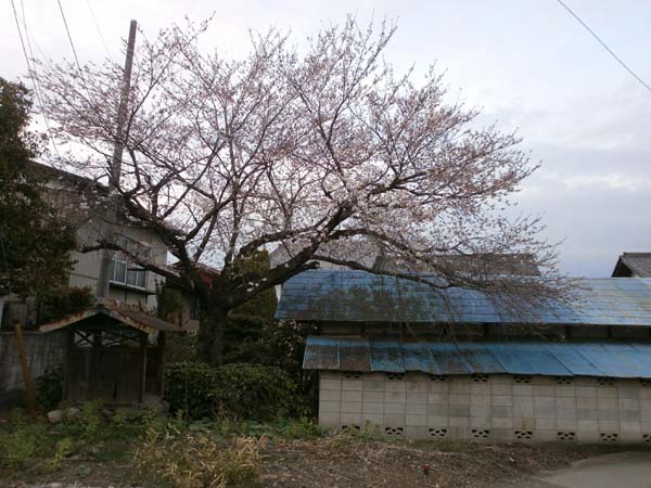 d0000995_2157276.jpg