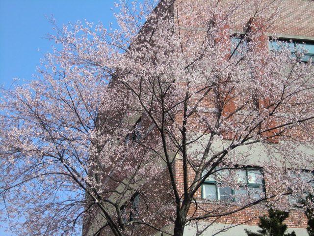 b0044296_21243482.jpg
