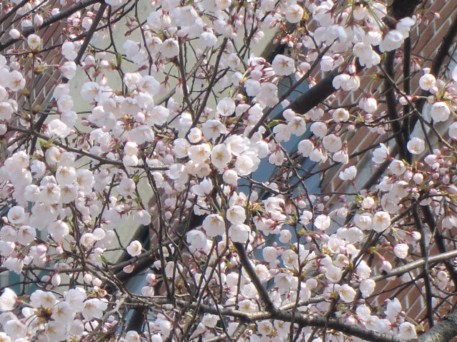 b0044296_2126956.jpg