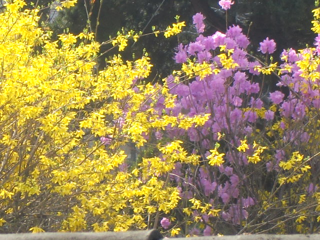 b0044296_2128588.jpg