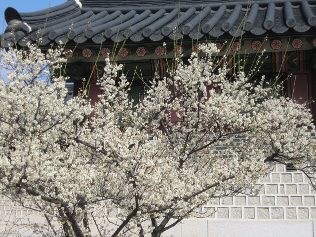 b0044296_21361330.jpg