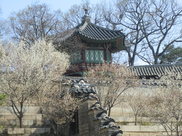 b0044296_2234078.jpg