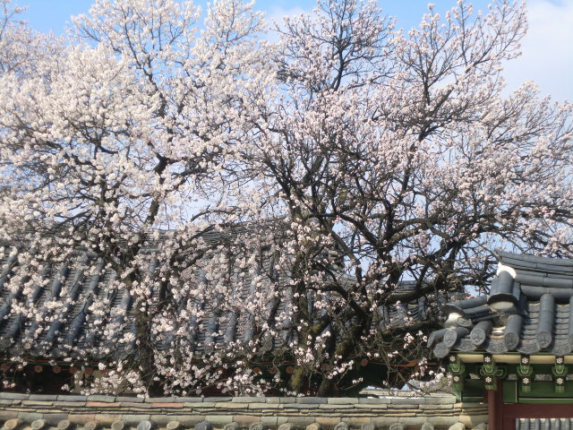 b0044296_228105.jpg