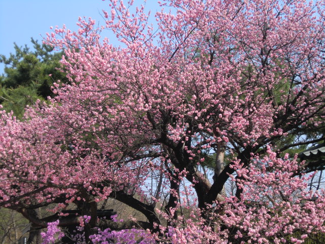 b0044296_2285821.jpg