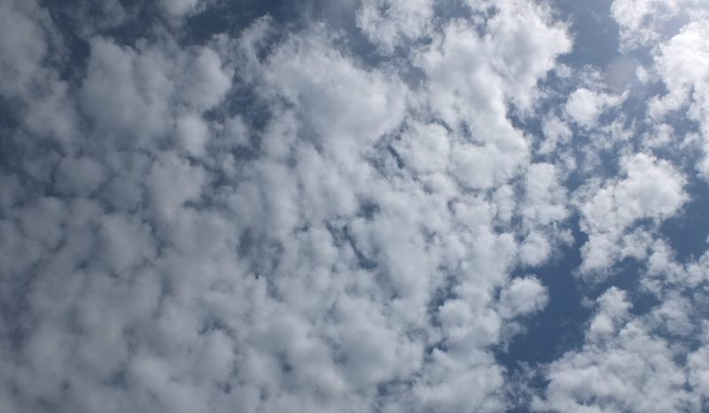 b0212396_2246445.jpg