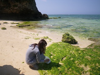 c0193396_1682085.jpg