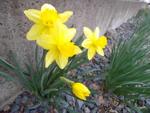 a0199297_19225399.jpg