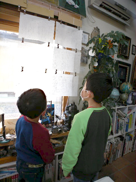 a0199297_1953946.jpg