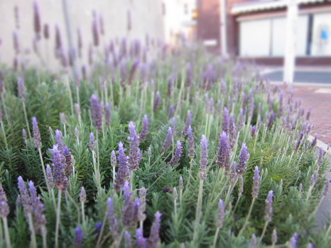 f0013998_18185137.jpg