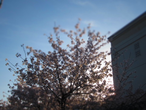 f0013998_1819127.jpg