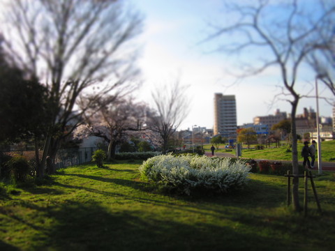 f0013998_18193583.jpg