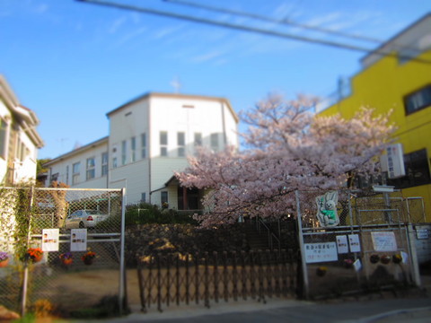 f0013998_18194435.jpg