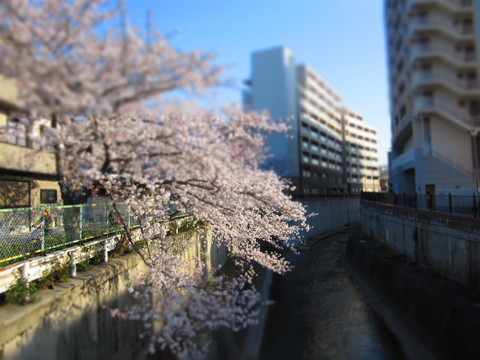 f0013998_1819551.jpg