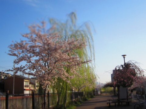 f0013998_18201878.jpg