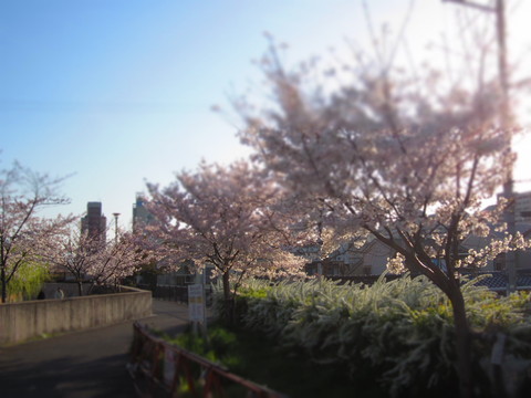 f0013998_18203672.jpg