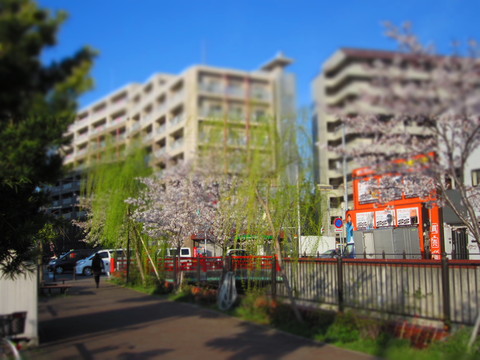 f0013998_18205740.jpg