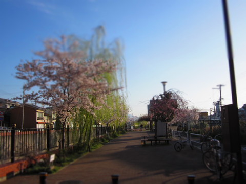 f0013998_182087.jpg