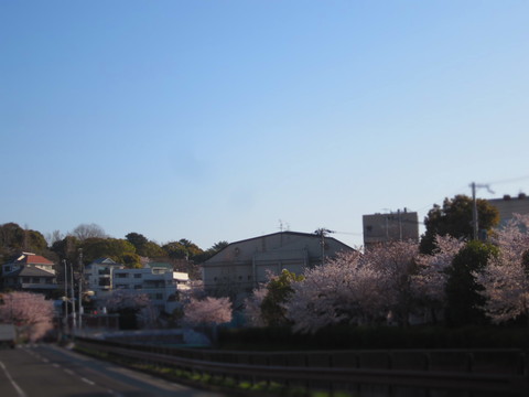f0013998_18211866.jpg