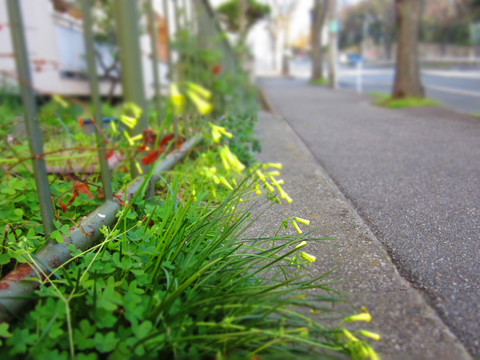 f0013998_18212894.jpg