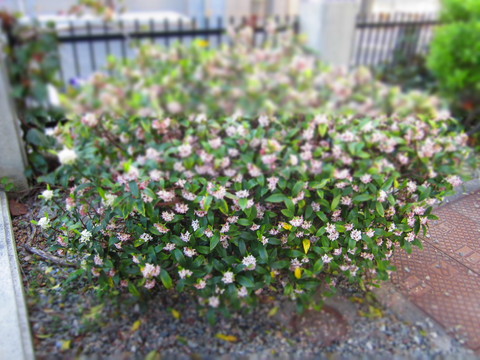 f0013998_18215464.jpg