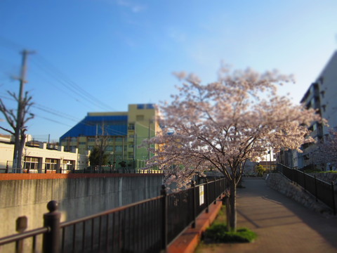 f0013998_182174.jpg