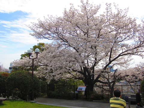 f0013998_18241566.jpg