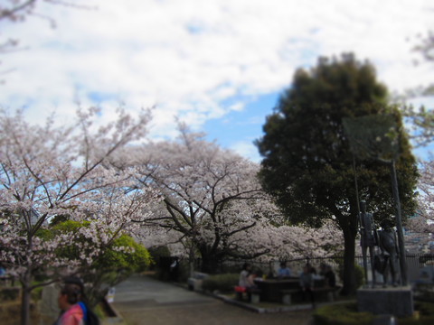 f0013998_18242556.jpg