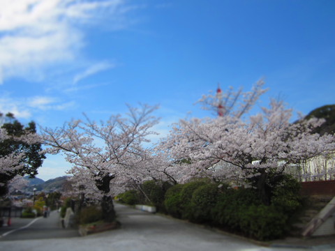 f0013998_18243486.jpg