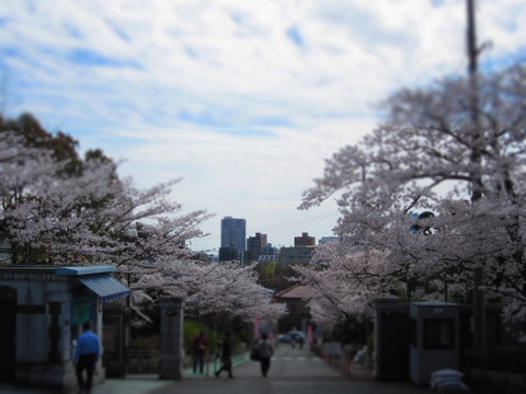 f0013998_18244492.jpg
