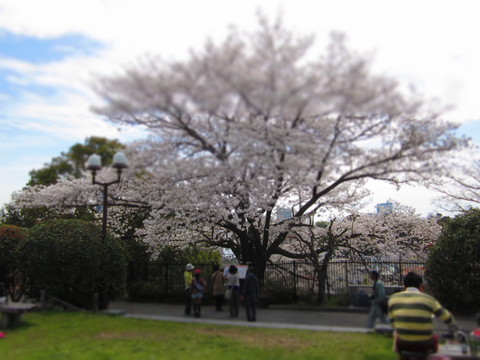 f0013998_1824688.jpg