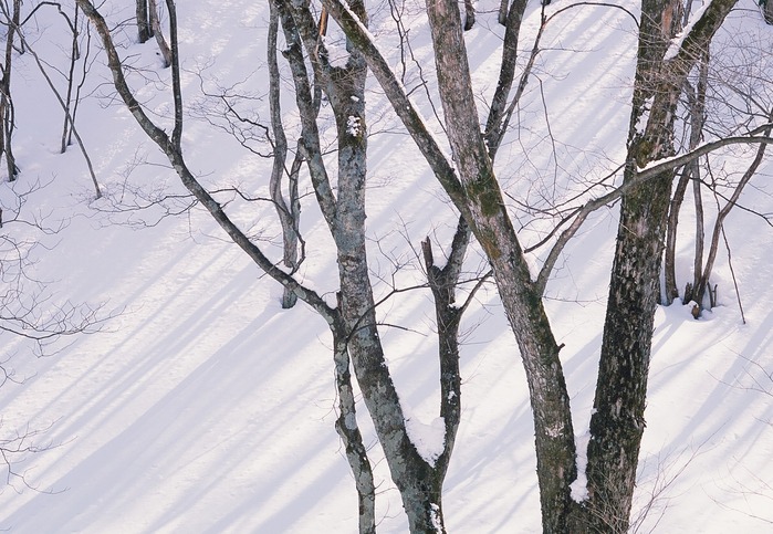 f0220698_2362071.jpg