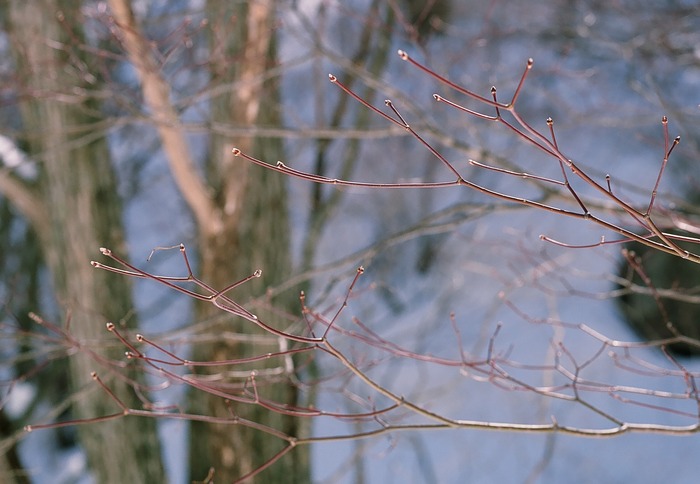 f0220698_2372582.jpg