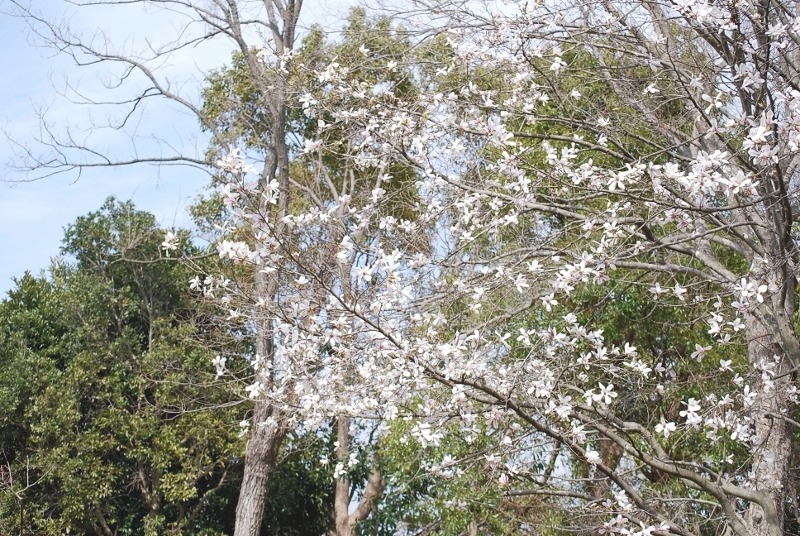 e0025300_16575182.jpg