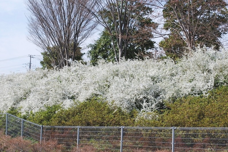 e0025300_1711522.jpg