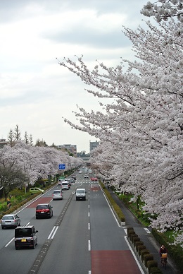 a0134004_0112237.jpg