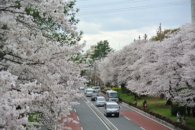 a0134004_23595048.jpg