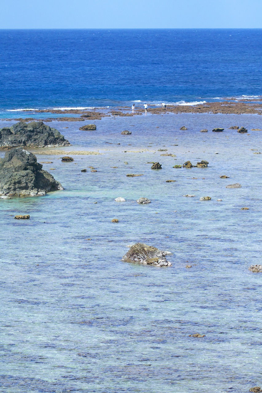 b0174905_835762.jpg