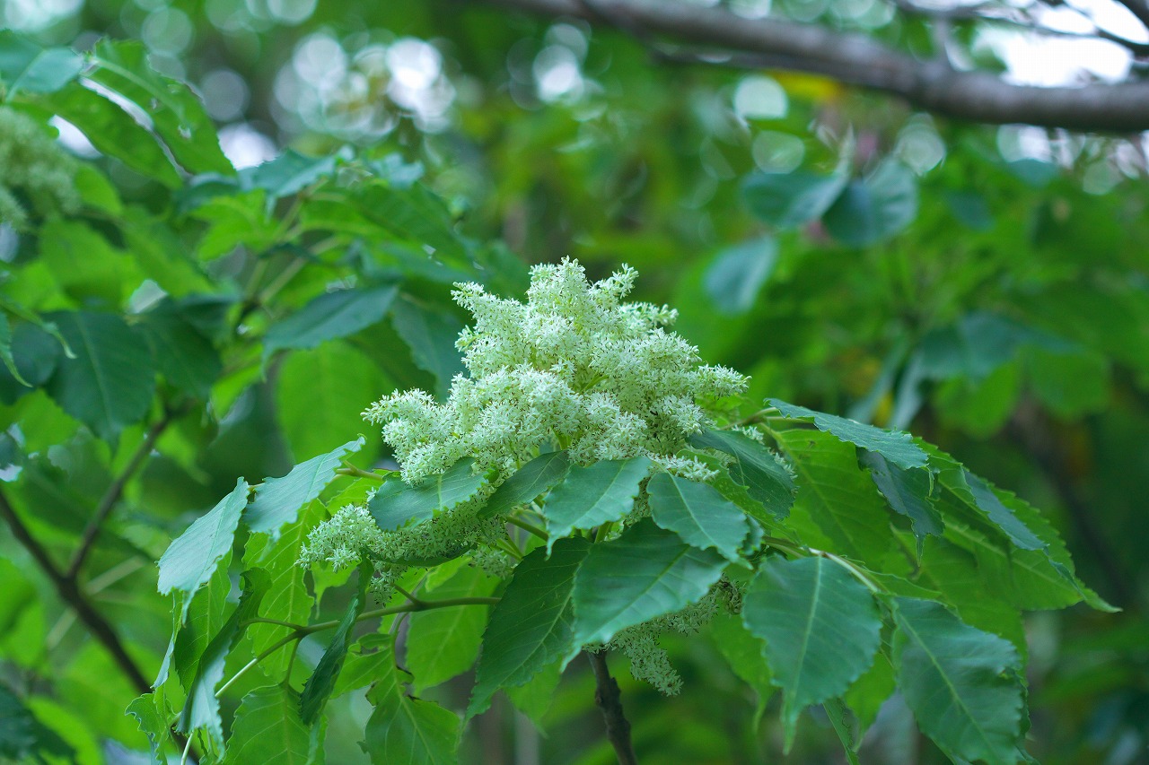 b0174905_837145.jpg