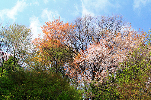 b0014607_20113952.jpg